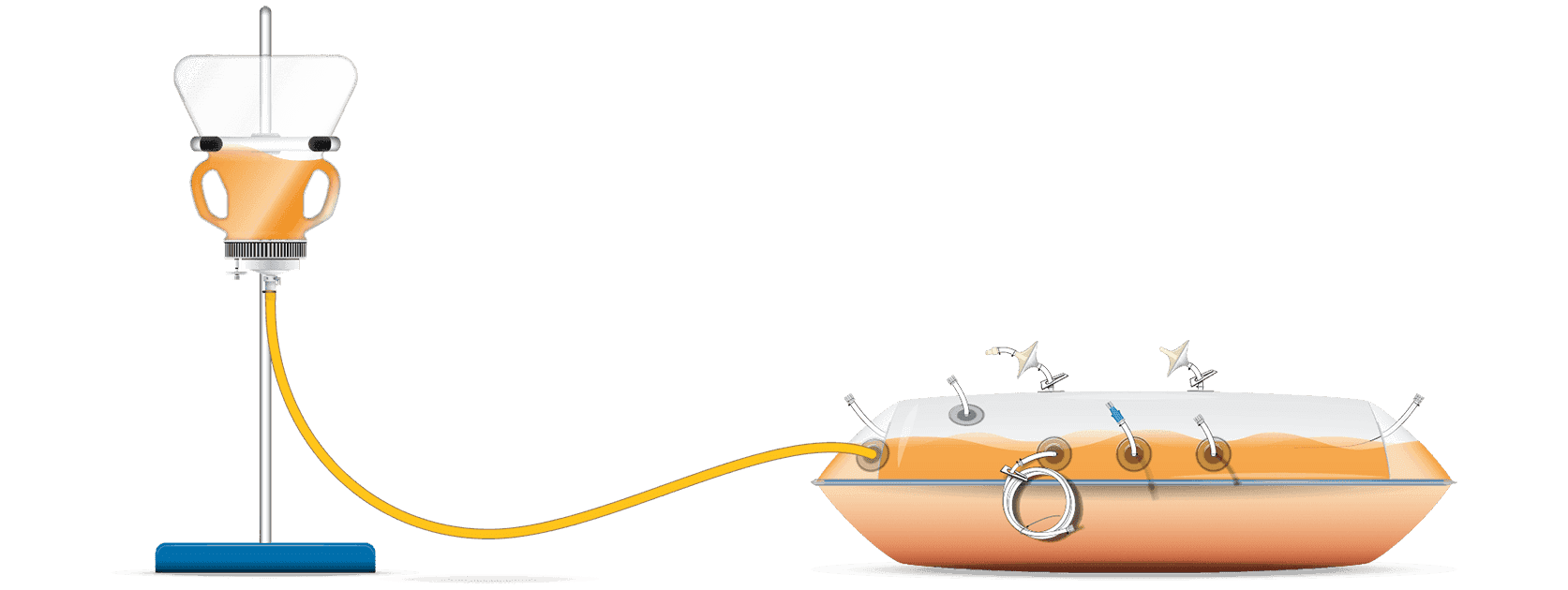 inversion illustration