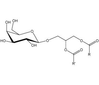 Monogalactosyl Diglyceride (CAS 41670-62-6) - chemical structure image