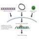 Rad51 siRNA and shRNA Plasmids (chicken) - RNAi-directed mRNA Cleavage 