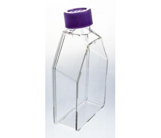 UltraCruz Flask, Suspension Culture, 250ml, 75cm2, vent cap, case: sc-200259 