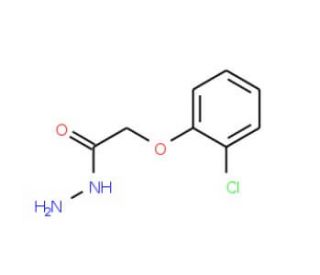 2-Chlorophenoxyacetic acid hydrazide (CAS 36304-40-2) - chemical structure image