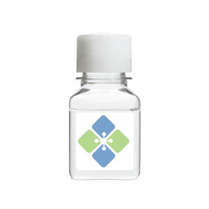 Beta-galactosidase Enzyme Donor