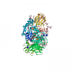 Beta-galactosidase Enzyme Donor