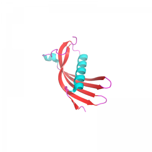 Cystatin C Protein Recombinant