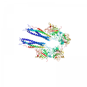 Human Fibrinogen Solution Plasminogen Depleted