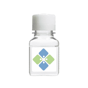 TE Buffer 1X (Biotechnology Grade)