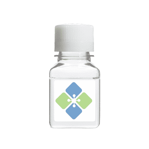 Zinc oxide Nanowires