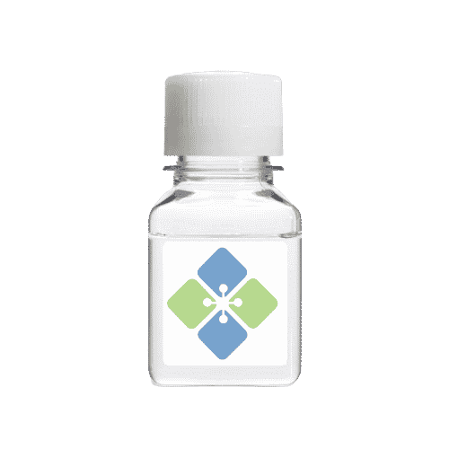 Dnase-Free and Rnase-Free Distilled Water