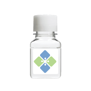 8-methyl Nonanoic Acid (Highly Pure)