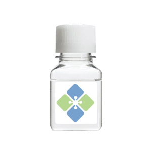 Benzyloxycarbonylglycyl-L-phenylalanine amide