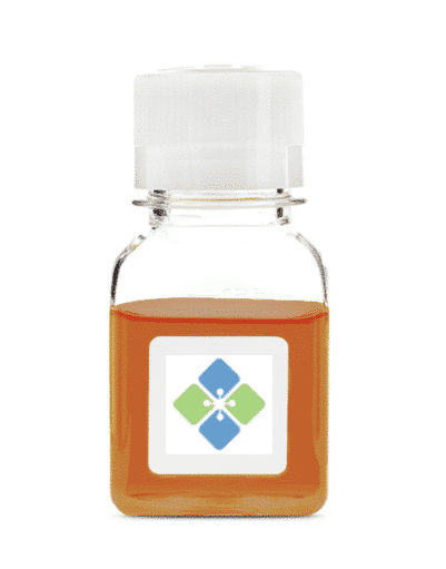 Magnetite Nanoparticles – PVP