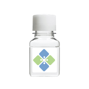 Antibody Purification Kit