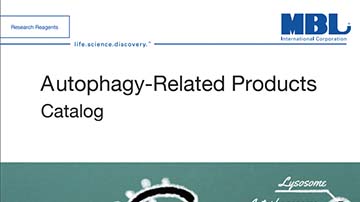 Brochure: Autophagy-Related Products Catalog