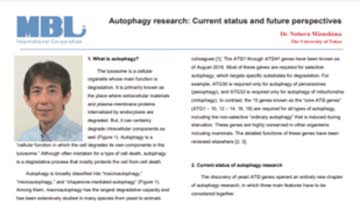 White Paper: Autophagy Research: Current Status and Future Perspectives
