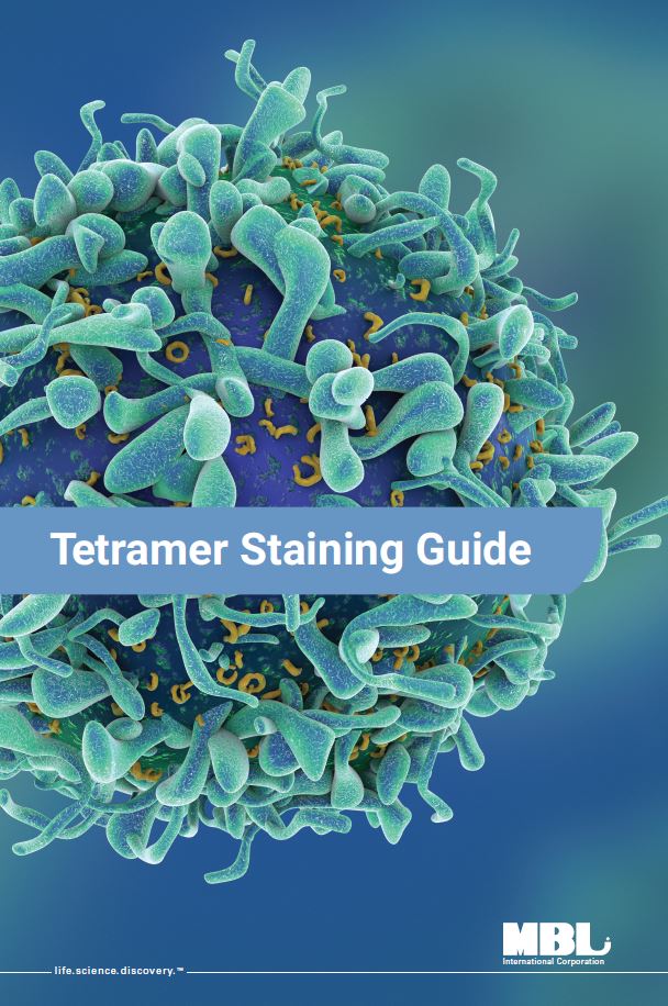 Brochure: Tetramer Staining Guide