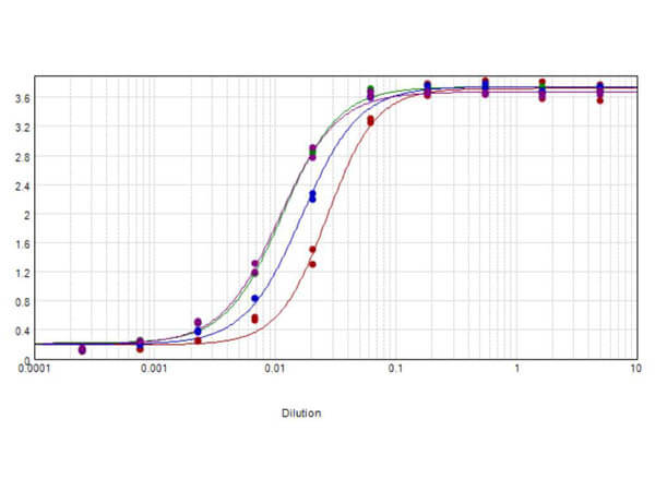 Cat IgG Fc Antibody Peroxidase Conjugated
