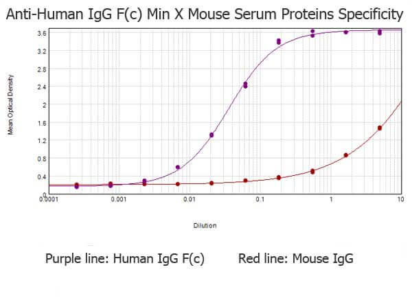 Human IgG Fc Antibody Pre-Adsorbed