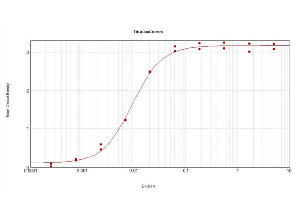 Mouse IgG2b Antibody Pre-adsorbed