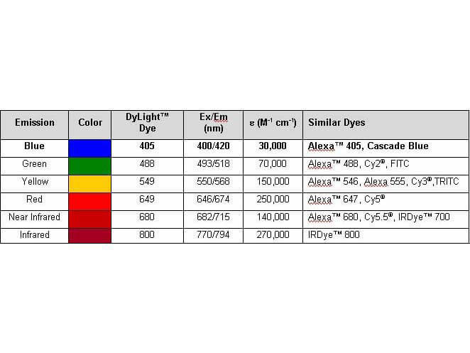 Mouse IgG2a (Gamma 2a chain) Antibody DyLight™ 549 Conjugated