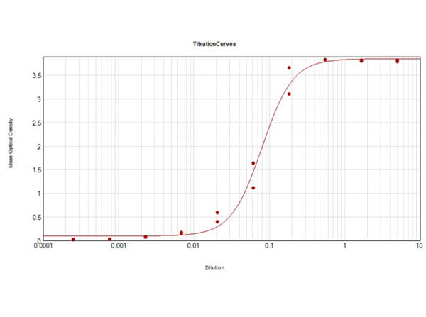 Mouse IgG Fc Antibody Alkaline Phosphatase Conjugated