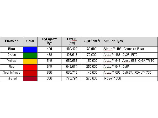 Rabbit IgG (H&L) Antibody DyLight™ 649 Conjugated