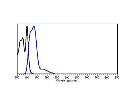 Rat IgG (H&L) Antibody Dylight™ 405 Conjugated