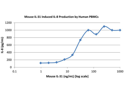 SDS-PAGE of Mouse Interleukin IL-31 Recombinant Protein