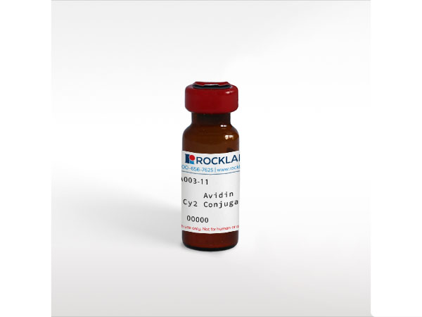 Avidin Cy2 Conjugated