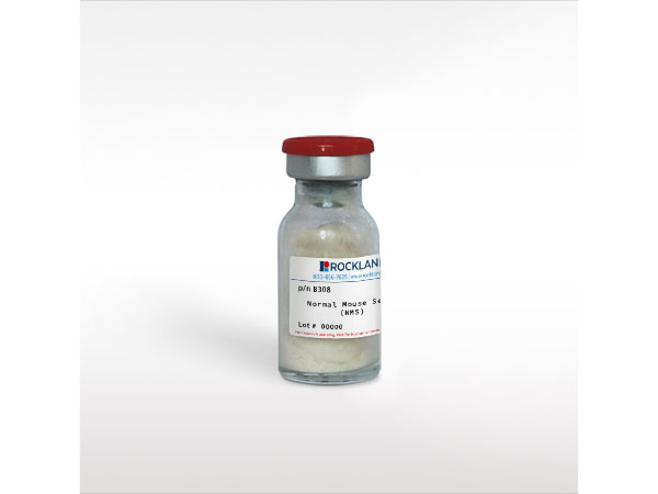 Normal Mouse Serum (NMS)