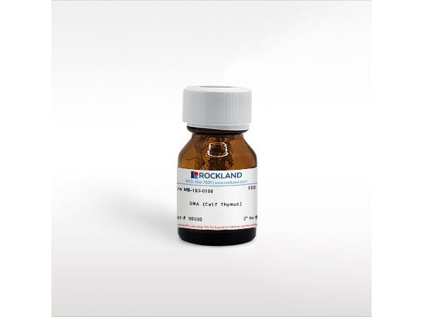 DNA (Calf Thymus)