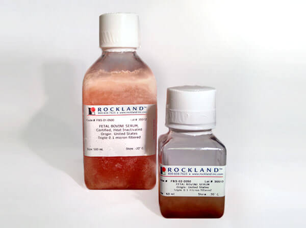 Fetal Bovine Serum