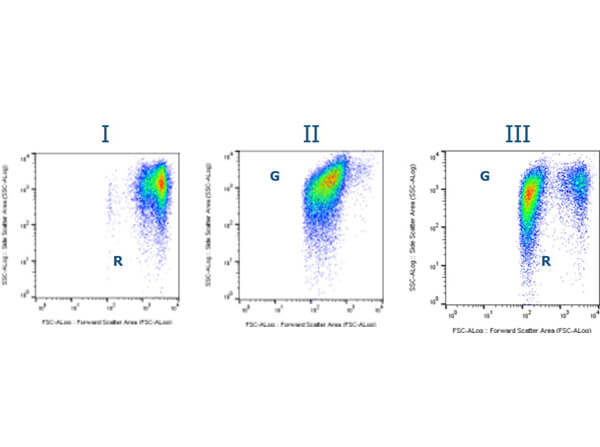 Flow cytometry analysis of unlabeled Rabbit ghost red blood cells
