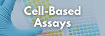 Cell-Based Assays