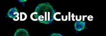3D Cell Culture