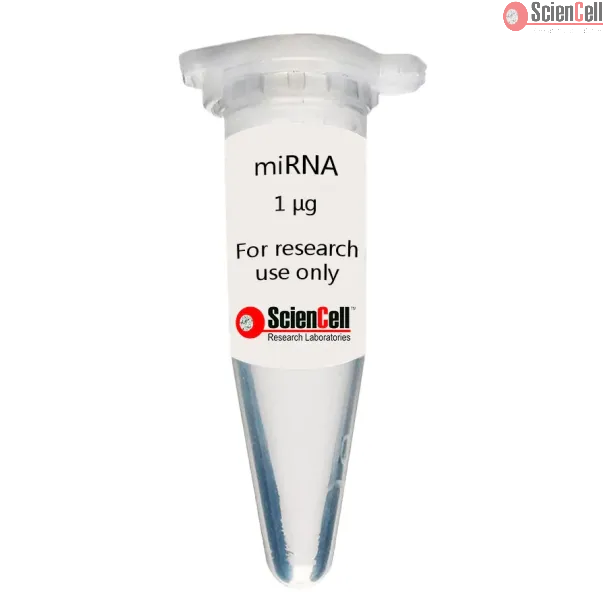 3517-SC | Human Skeletal Muscle Satellite Cell MicroRNA Clinisciences
