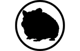 Anti-hamster primary antibody in vivo