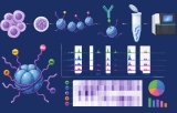 Histone modification analysis