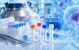 Cryoprotectants