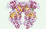 Ensaio de atividade de fosfocinase PhosphoSens