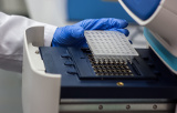 SARS-CoV-2 - Testes moleculares para investigação e desenvolvimento