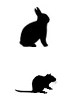 Rabbit - Rat