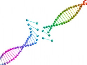 Gene synthesis