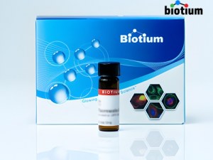 Ferramentas para deteção da viabilidade celular e apoptose