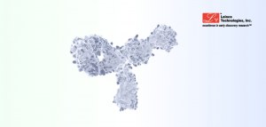 15% OFF In Vivo Antibodies & Biosimilars
