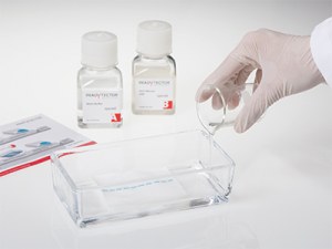ReadyTector: a solução tudo-em-um para Western Blotting