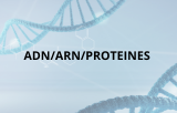 ADN/ARN/PROTEINES