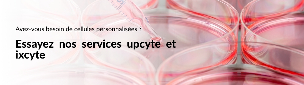 upcyte-service