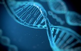 Produits pour la biologie moléculaire
