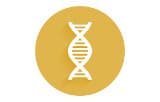 ADN polymérases pour PCR haute-fidélité