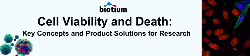 Lipid Nanoparticles Banner